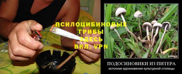 метадон Абаза