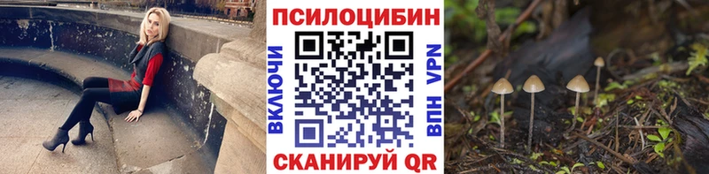 Галлюциногенные грибы прущие грибы  Дубовка 